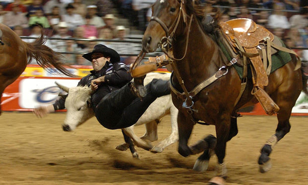 vegas - rodeo