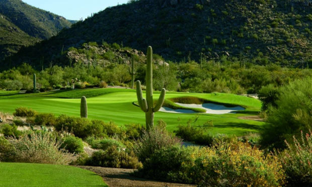 ritz-carlton dove mountain wild burro