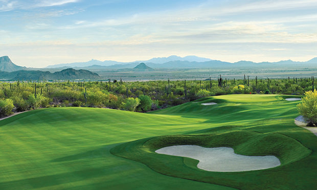 Ritz-Carlton Dove Mountain - The Gallery Cover