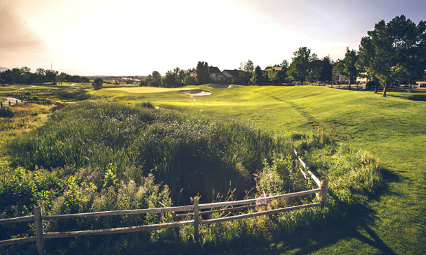 thorncreek golf