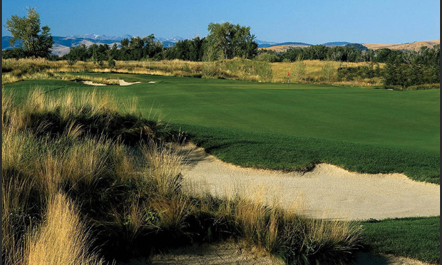 montana golf black bull