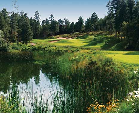 Torreon Golf Club
