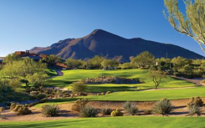 desert_AX_360x330.jpg desert_AX_360x330.jpg